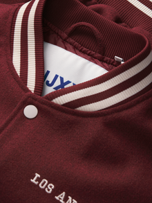 JJXX JXESSI Bomber striukė -Cabernet - 12285786