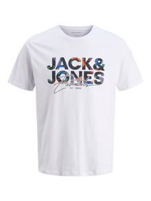 Jack & Jones Paquete de 3 Camiseta -Iceberg Green - 12288303