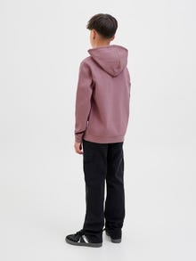 Jack & Jones Mikina s kapucí Juniorské -Grape Shake - 12288727