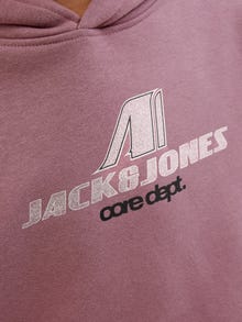 Jack & Jones Sweat à capuche Junior -Grape Shake - 12288727
