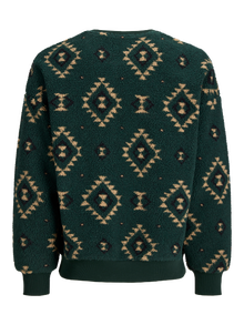 Jack & Jones Sweatshirts -Pine Grove - 12288980
