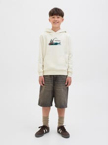 Jack & Jones Hoodie -Antique White - 12289412