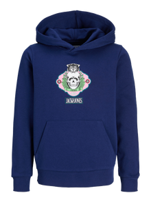 Jack & Jones Hoodie -Ocean Cavern - 12289412