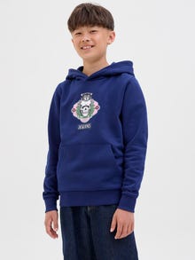 Jack & Jones Hoodie -Ocean Cavern - 12289412