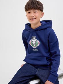 Jack & Jones Hoodie -Ocean Cavern - 12289412