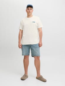 Jack & Jones Plus Size T-krekls -Egret - 12291625