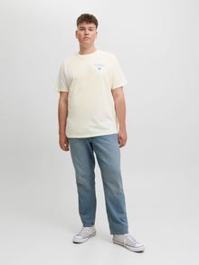 Jack & Jones Plus Size T-krekls -Egret - 12291627