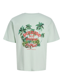 Jack & Jones T-shirts -Pale Blue - 12293944