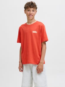 Jack & Jones T-shirt Junior -Summer Fig - 12294319