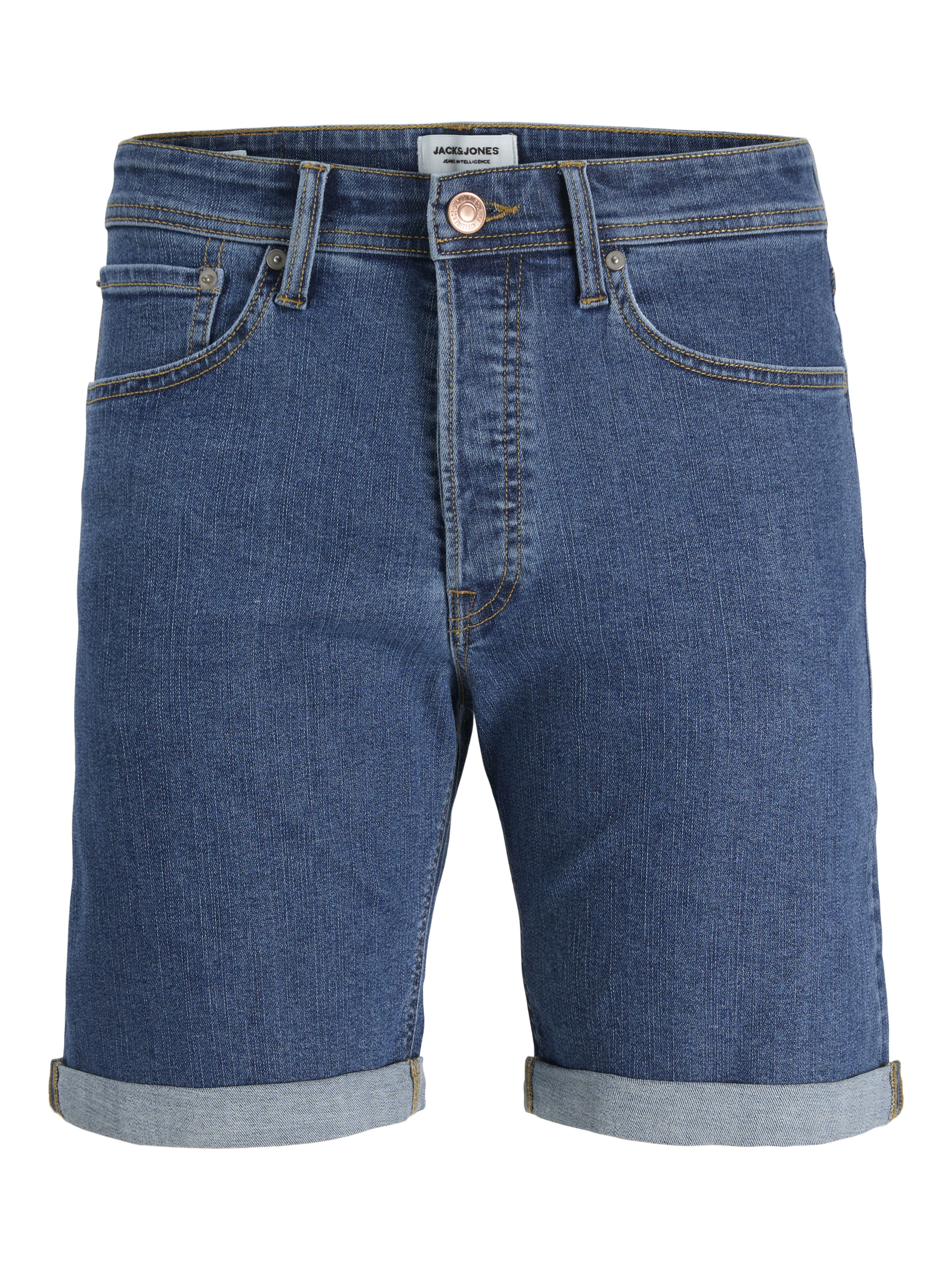 Plus Size Regular Fit Regular Fit Shorts