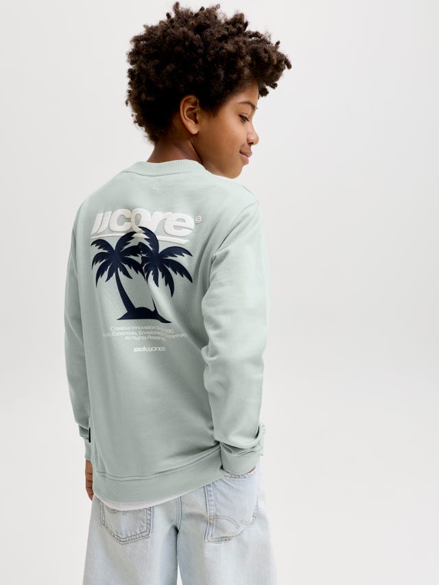 Sweat Capuche Ado Garçon Jack and Jones Junior Sweat Capuche Ado Garçon Jack and Jones Junior