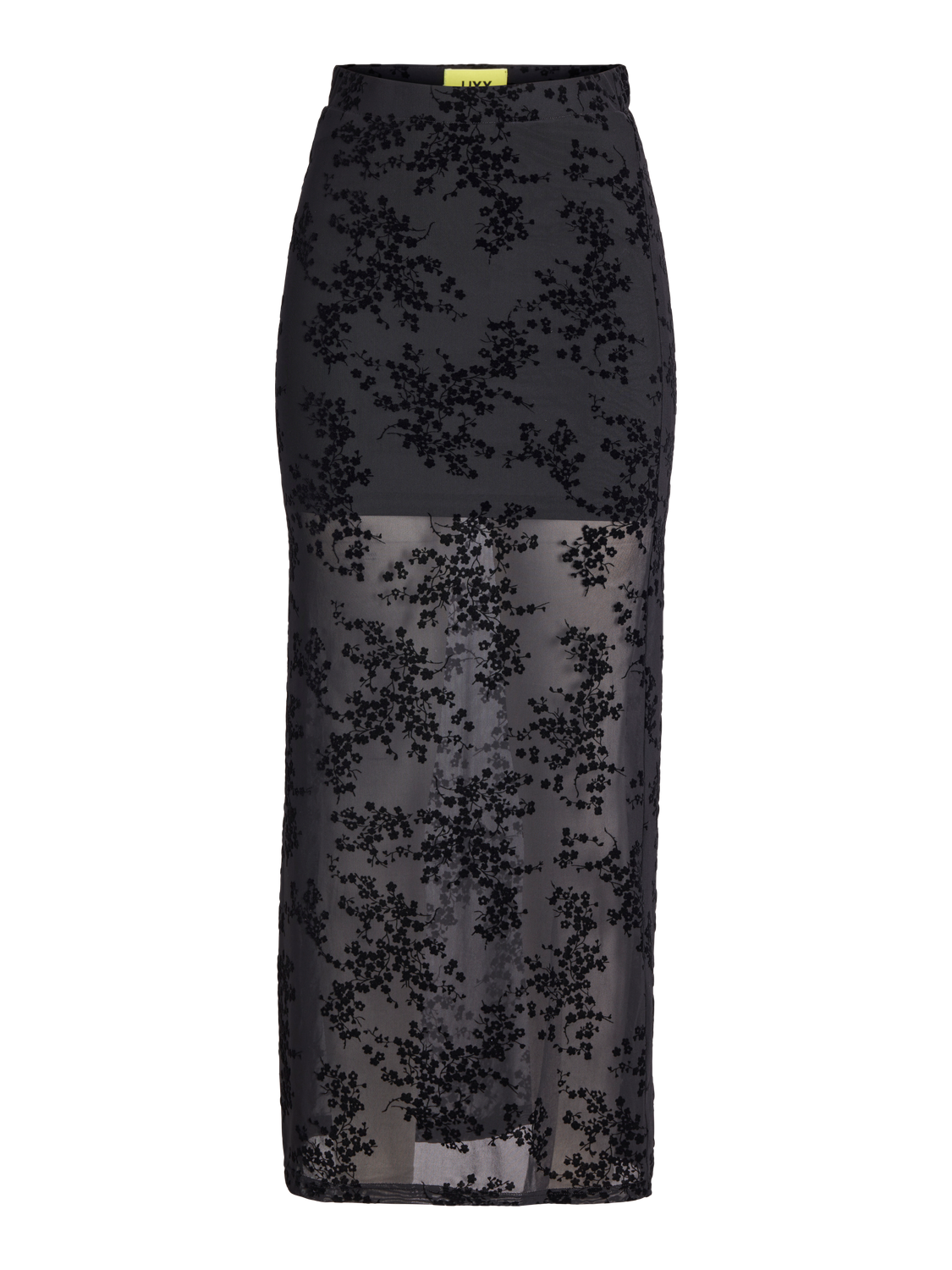 Thumbnail - Jxjasmin Gerader Rock