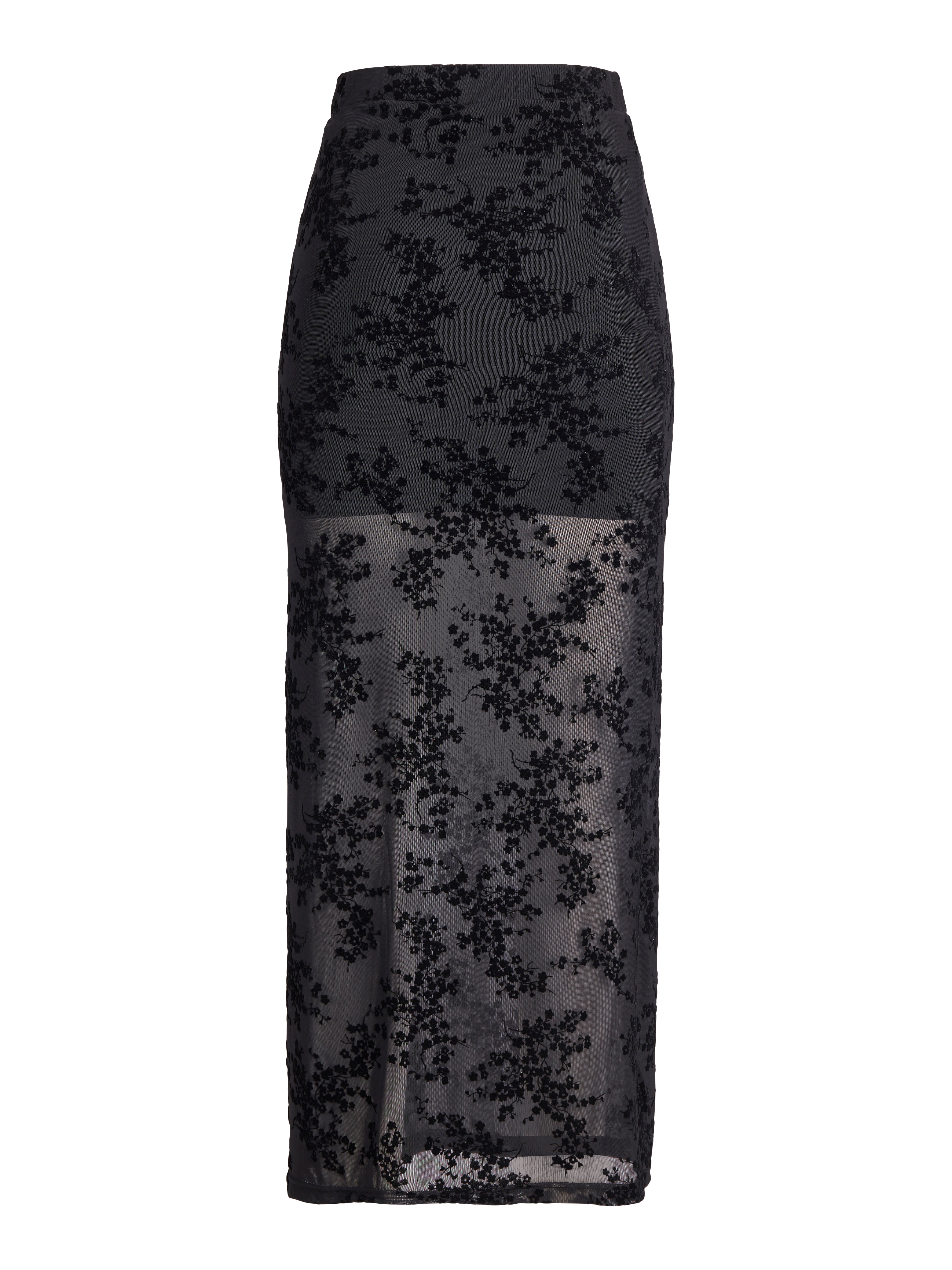 Thumbnail - Jxjasmin Gerader Rock