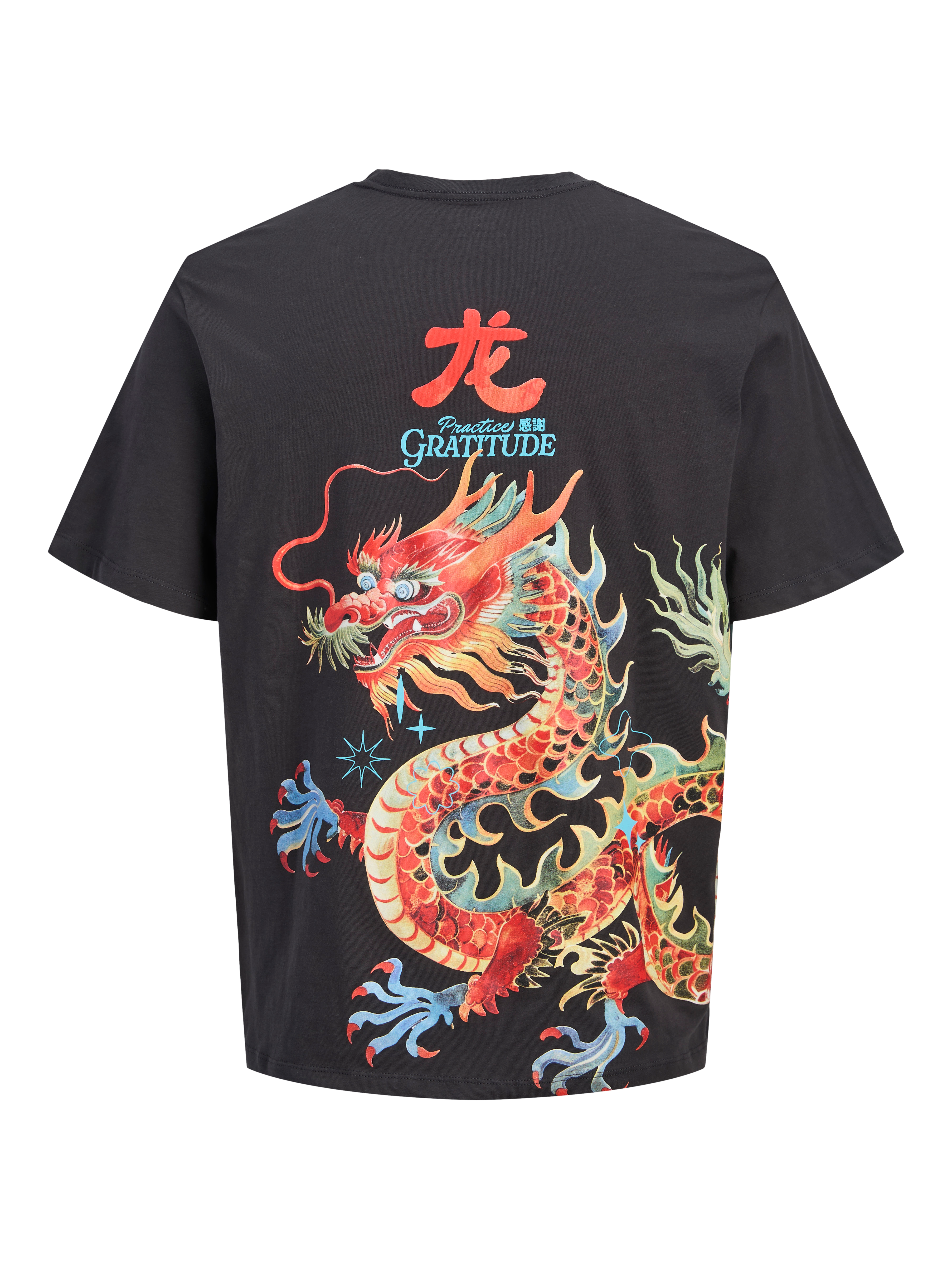 Thumbnail - Plus Size T-shirt