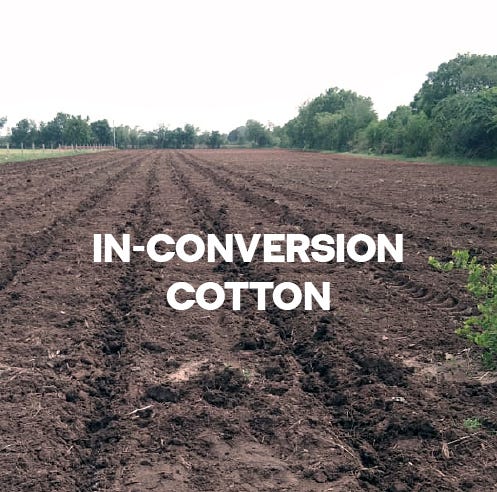 In-conversion cotton | Jack & Jones