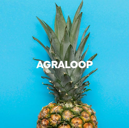 Agraloop | Jack & Jones